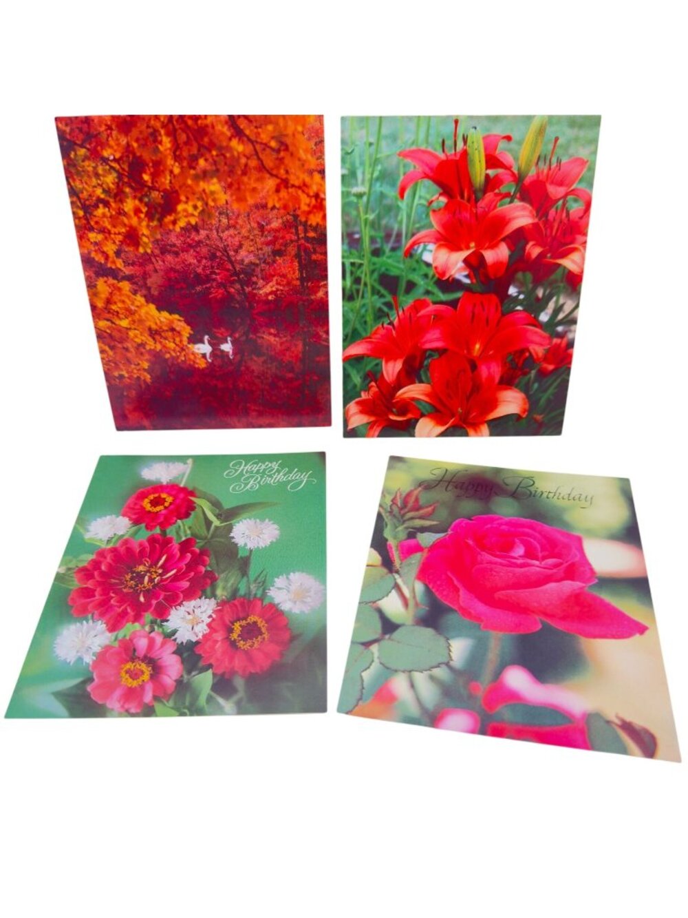 Paralyzed Veterans Of America Floral Greeting Cards Set 4 Birthday & General USA